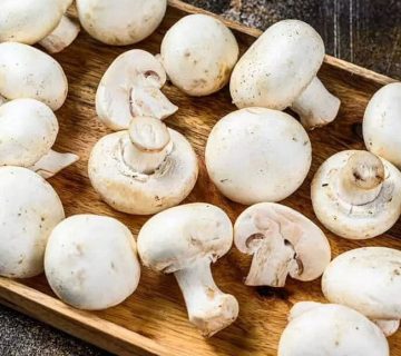 روش-تشخیص-قارچ-سفید-سالم