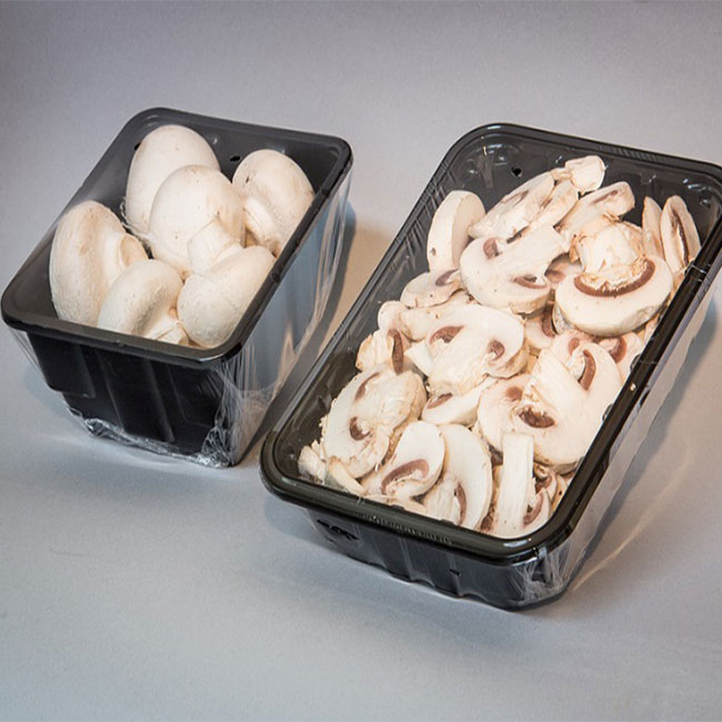 قیمت روز قارچ سفید