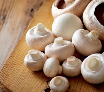 پرورش قارچ در منزل با بهترین روش