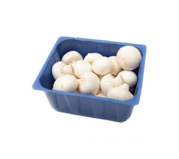 پر فروش ترین قارچ خوراکی