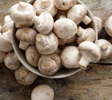 روش پخت خوراک قارچ با مرغ