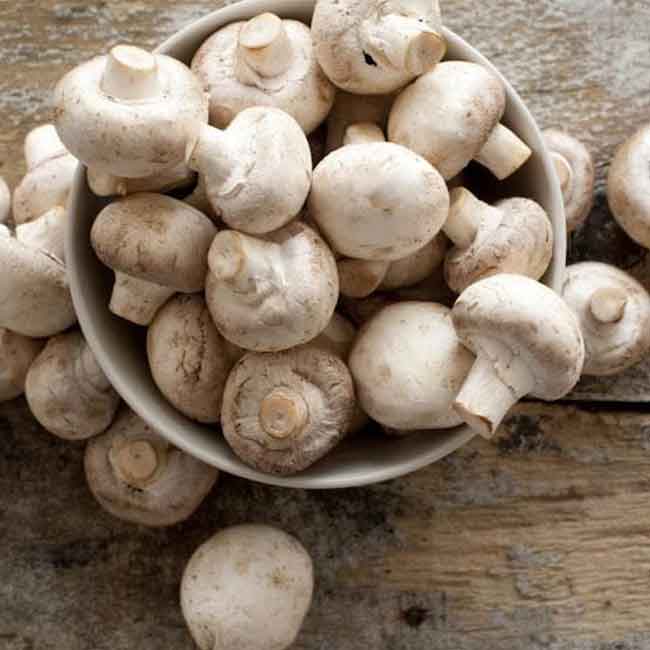 روش پخت خوراک قارچ با مرغ