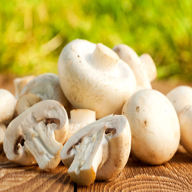 قارچ برای لاغری و سلامتی