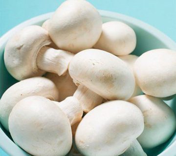 قارچ یکی از انواع گیاهان محبوب و پر مصرف