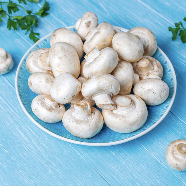 خرید قارچ دکمه ای خوشمزه