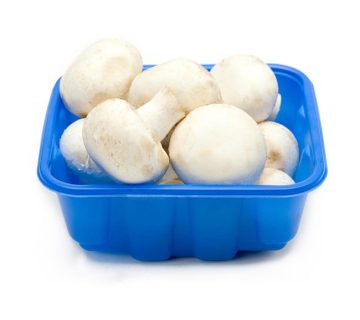 آموزش کامل پرورش قارچ سفید