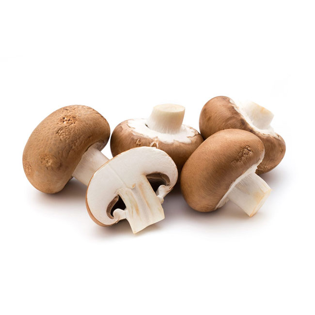 قارچ خوراکی_تمام خواص قارچ خوراکی