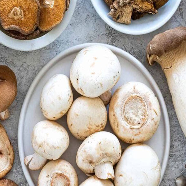 مصرف قارچ در تغذیه بدنسازی