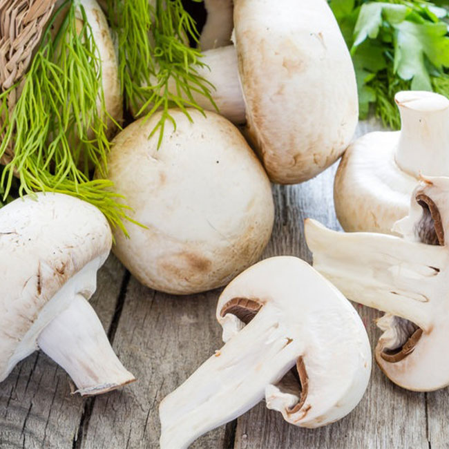 تفاوت قارچ دکمه ای با صدفی چیست؟