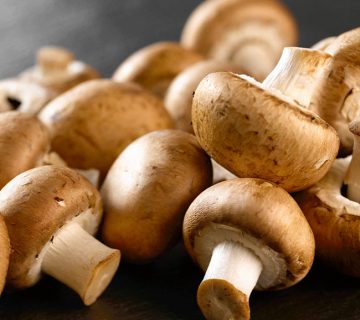 آموزش پرورش و برداشت قارچ دکمه ای