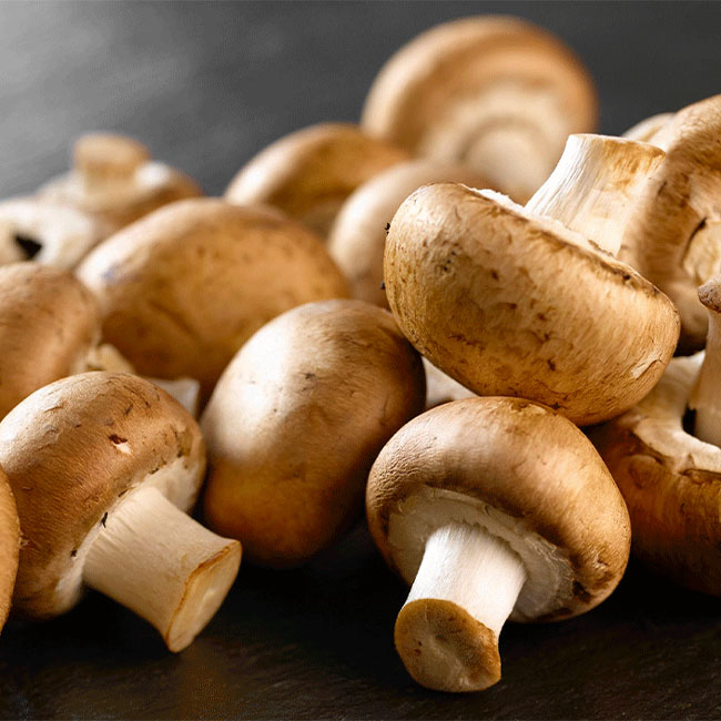 آموزش پرورش و برداشت قارچ دکمه ای