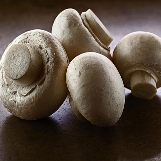 کالری و ارزش غذایی قارچ سفید