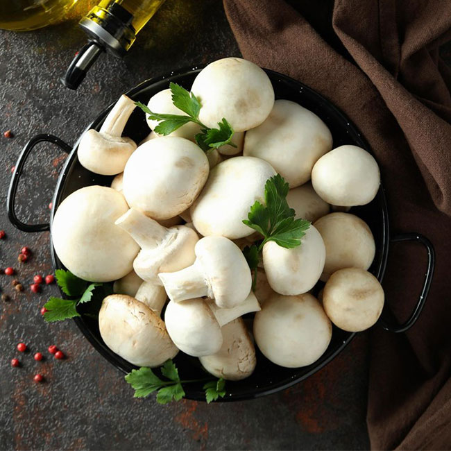 پرورش قارچ دکمه ای در گیلان