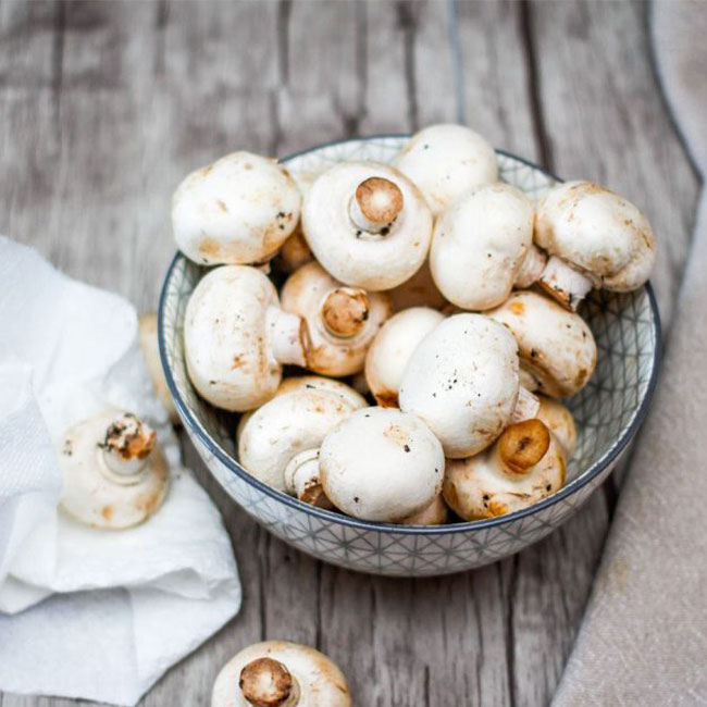 پرورش قارچ دکمه ای در گیلان