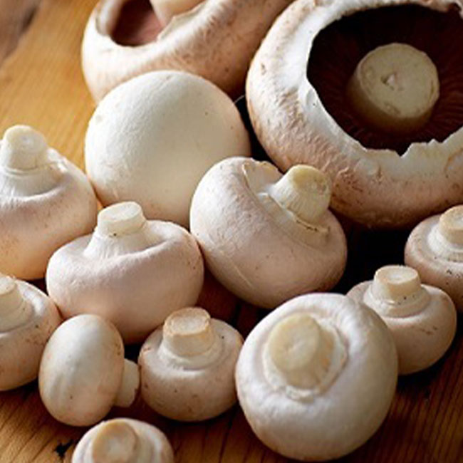 بیشترین مصرف قارچ در کدام کشورها است؟