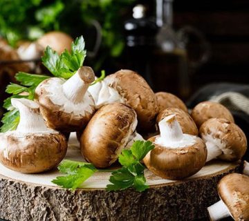 صفر تا صد پرورش قارچ دکمه ای