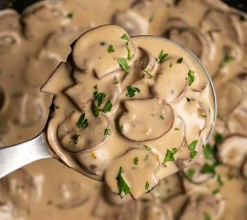 فروش و قیمت قارچ