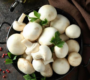 آموزش جامع پرورش قارچ دکمه ای