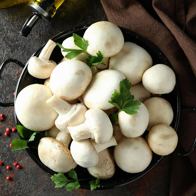 آموزش جامع پرورش قارچ دکمه ای