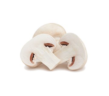 تعریف قارچ دکمه ای سفید